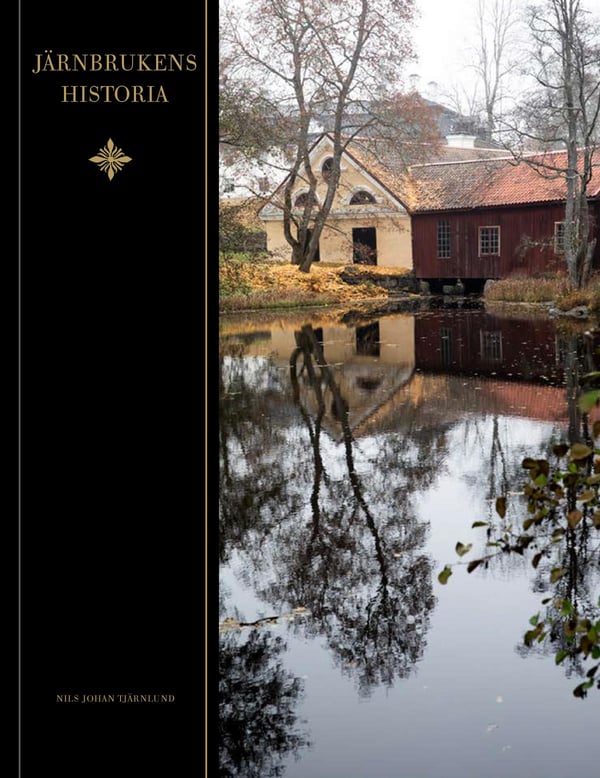 Rautaruukkien historia (Kirja / Puolinahkasidos)