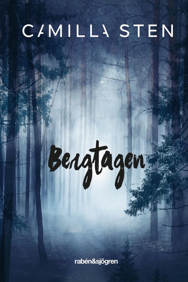 Bergtagen (Bok / Pocket)