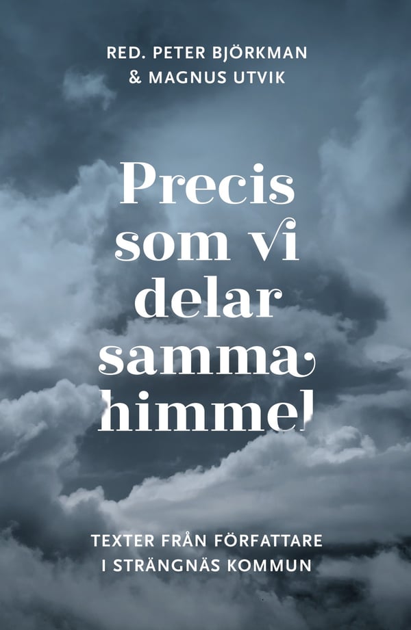 Precis Som Vi Delar Samma Himmel. Texter Från Författare I Strängnäs Kommun (Bok / Danskt band)