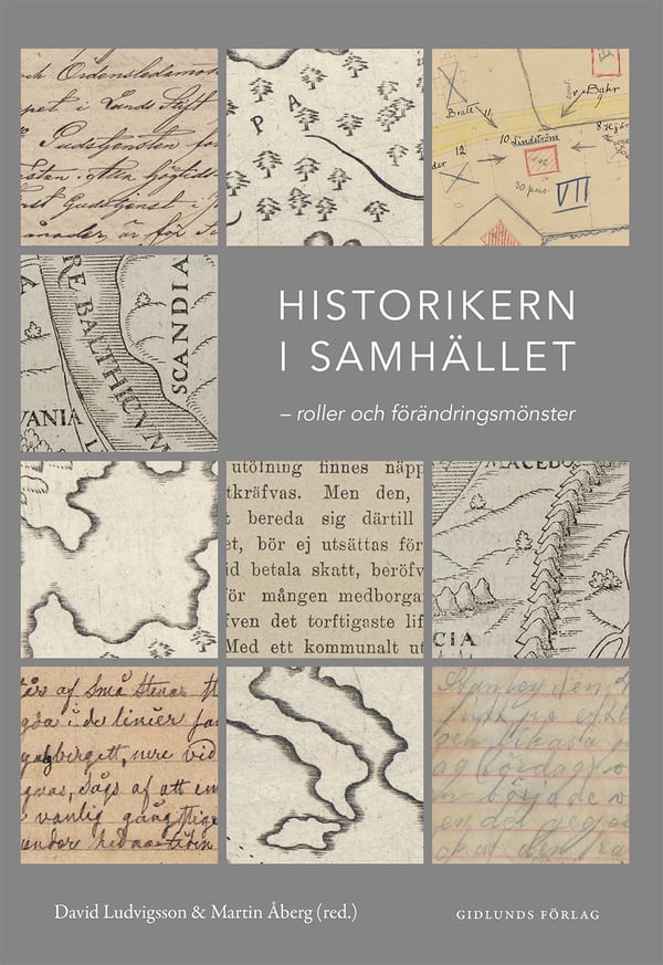 Historikern I Samhället - Roller Och Förändringsmönster (Bok / Danskt band)