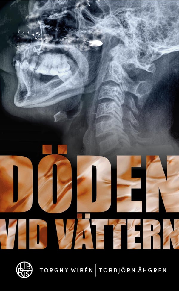 Döden Vid Vättern - En Roman Om Brott (Bok / Pocket)
