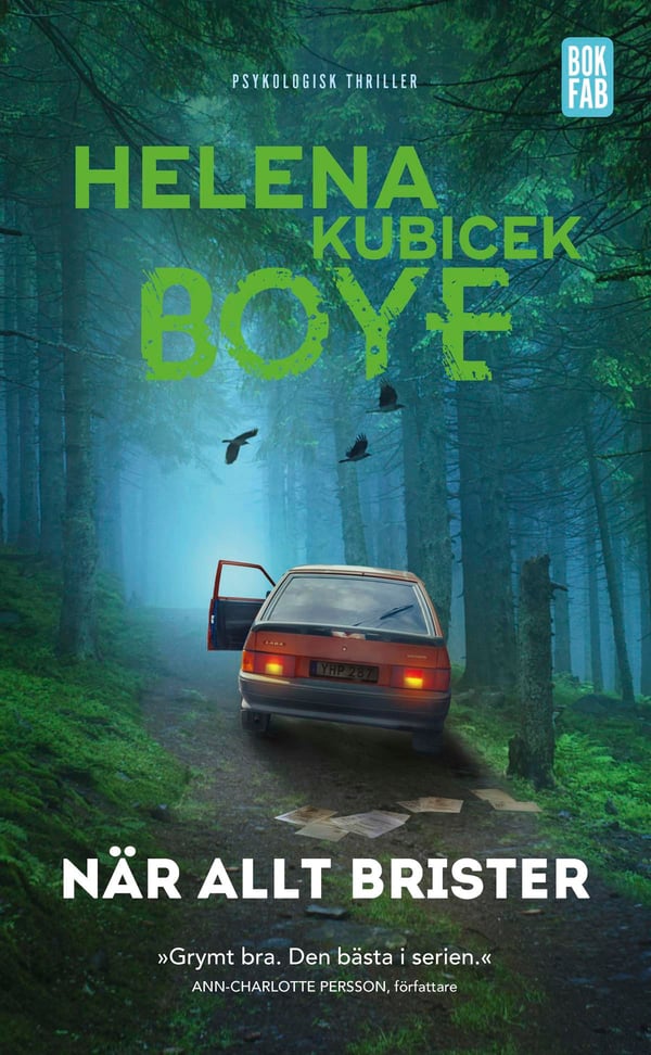 När Allt Brister (Bok / Pocket)