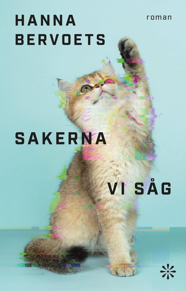 Asiat, joita näimme (Kirja / Kovakantinen)