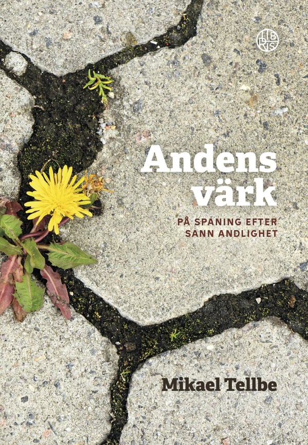 Hengen tuska - Etsimässä tosi hengellisyyttä (Kirja / Tanskalainen sidonta)