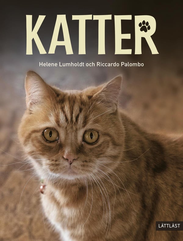Katter (Bok / Inbunden)