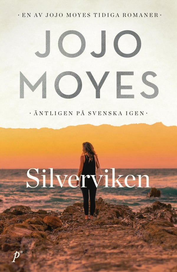 Silverviken (Bok / Pocket)