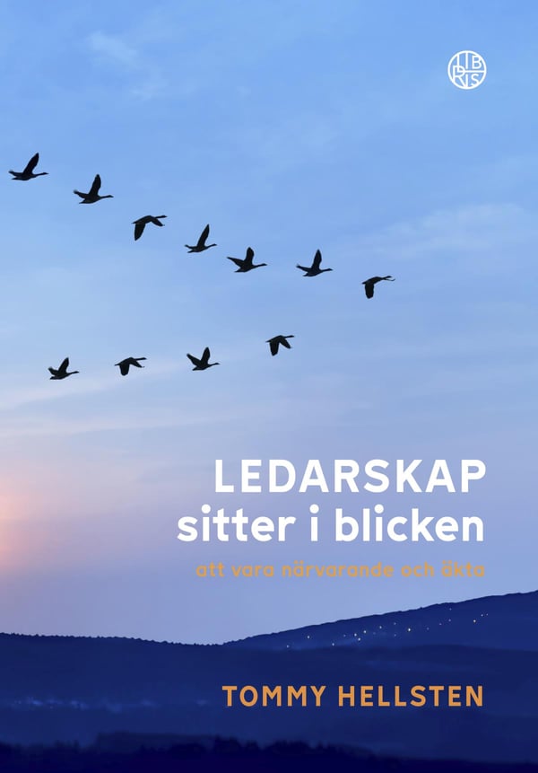 Johtajuus on katseessa – läsnäoloa ja aitoutta (Kirja / Sidottu)