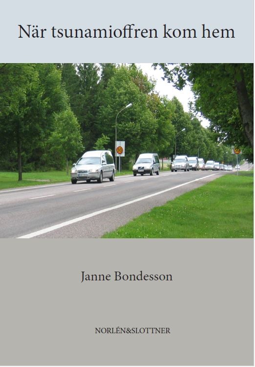 När Tsunamioffren Kom Hem (Bok / Inbunden)