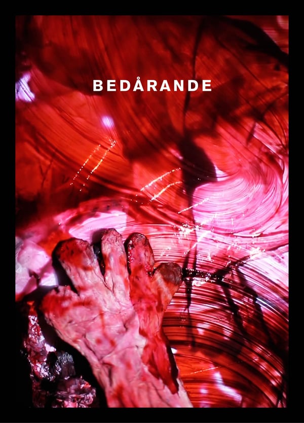 Bedårande (Bok / Danskt band)