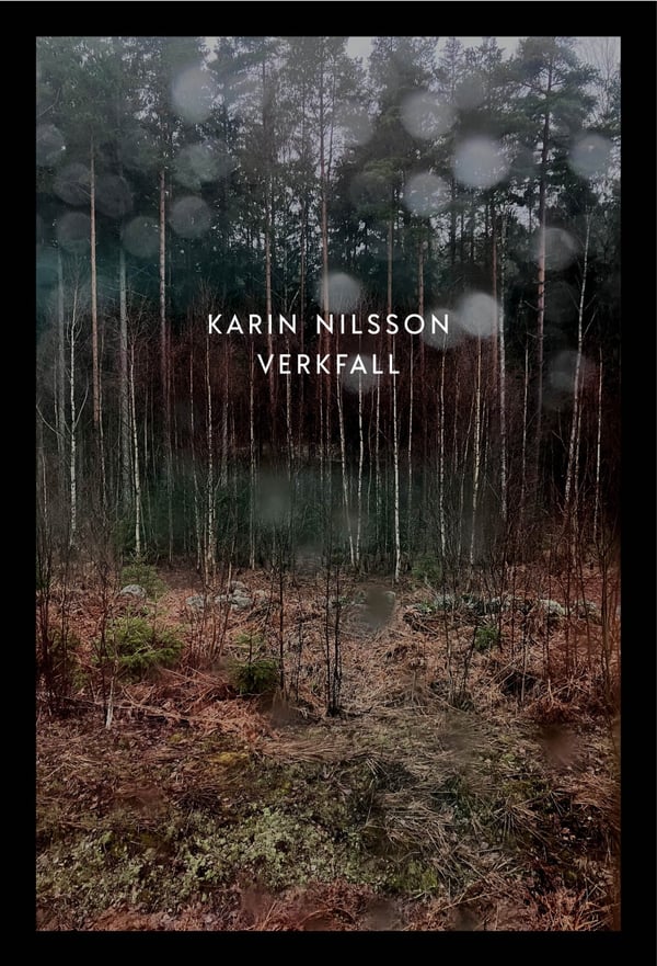 Verkfall (Bok / Häftad)