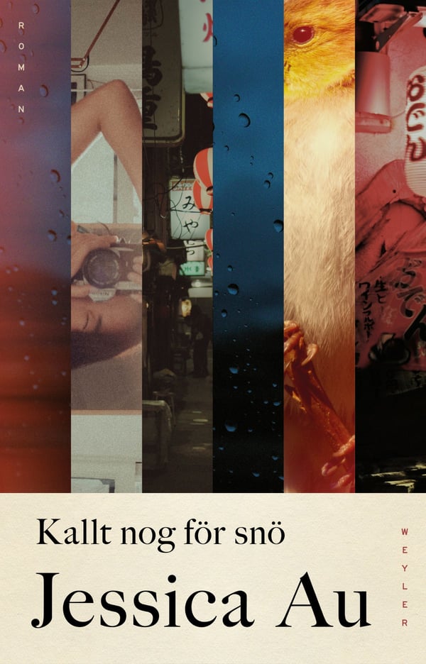 Tarpeeksi kylmä lumelle (Kirja / Kovakantinen)
