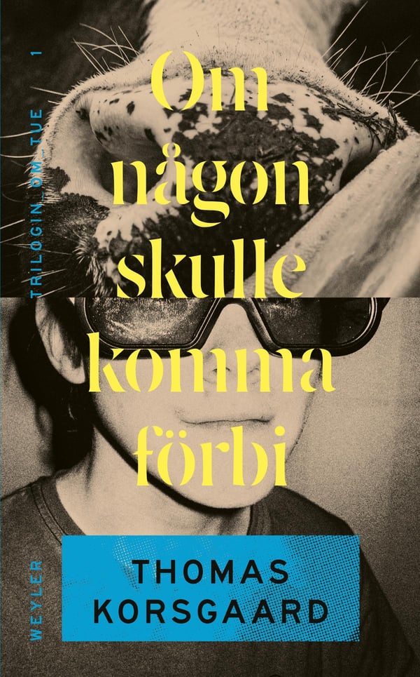 Jos Joku Tulisikin Käymään (Kirja / Pokkari)