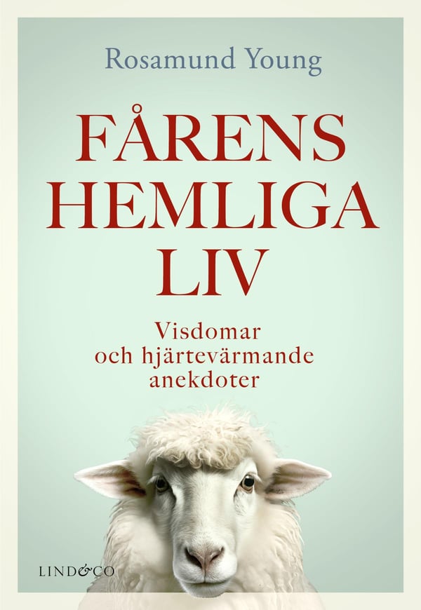 Lampaiden salainen elämä - Viisauksia ja sydäntä lämmittäviä anekdootteja (Kirja / Kovakantinen)