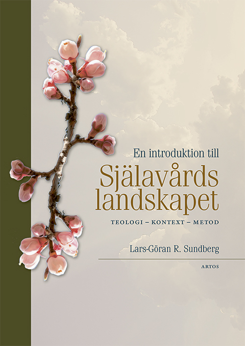 Johdatus sielunhoidon maisemaan - Teologia, konteksti, menetelmä (Kirja / Nidottu)