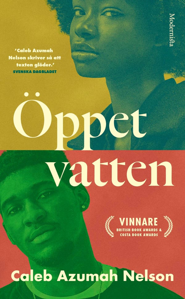 Öppet Vatten (Bok / Pocket)
