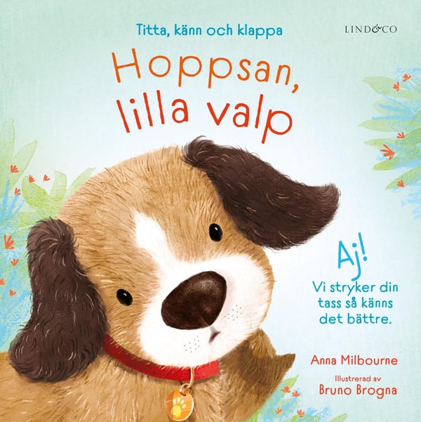 Hupsista, pieni pentu - Katso, tunne ja silitä (Kirja / Board book)