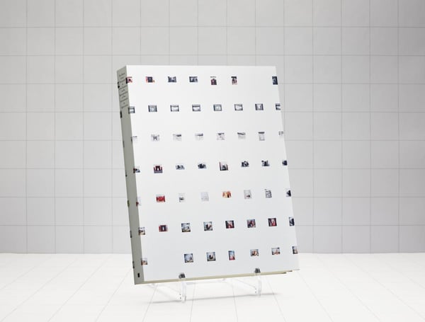 Forty Viewpoints In Seven Instances On The Reconstruction Of Two Enviroments By Björn Lövin (Bok / Danskt band)