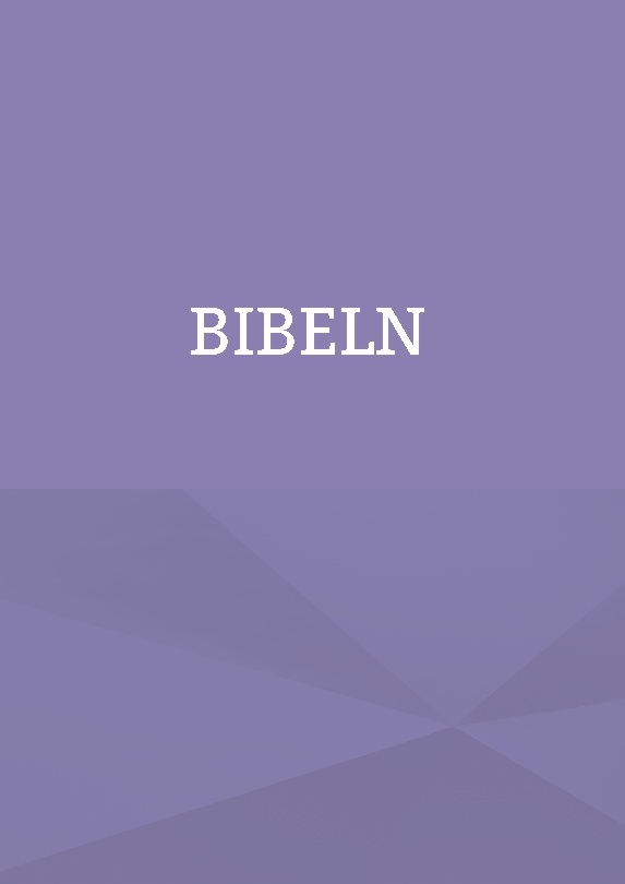 King James Bibeln På Svenska - Bibeln (Bok / Inbunden)