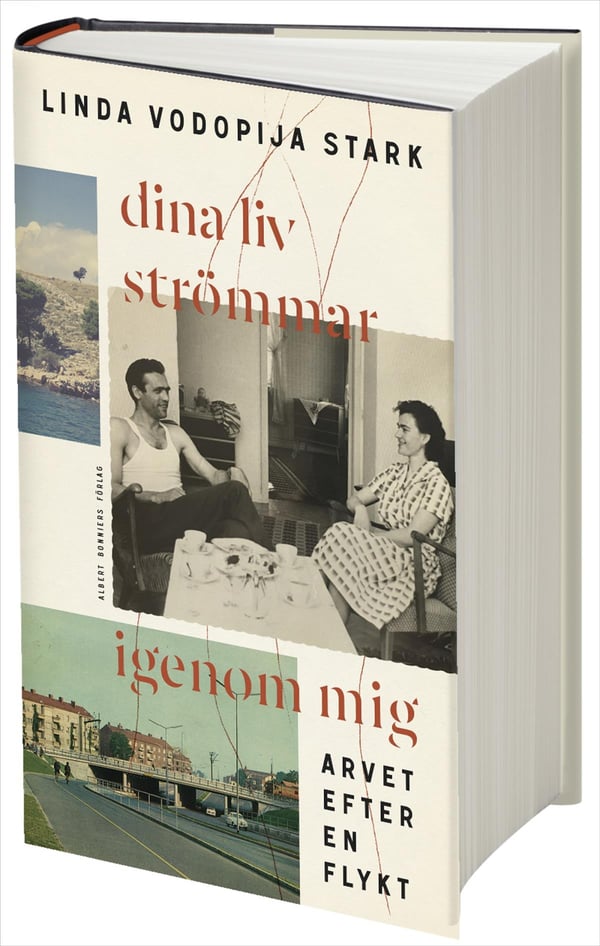 Dina Liv Strömmar Igenom Mig - Arvet Efter En Flykt (Bok / Inbunden)