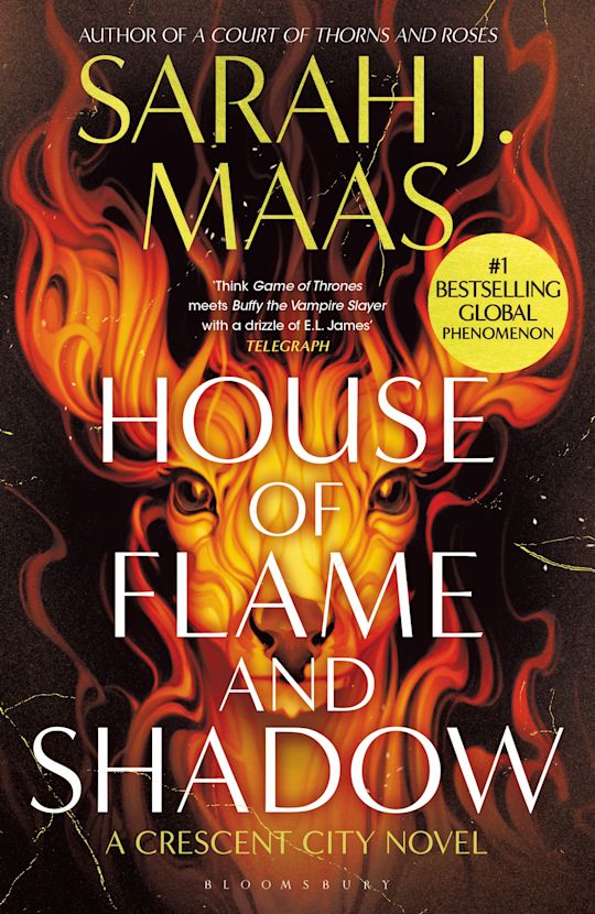 House Of Flame And Shadow (Bok / Pocket)