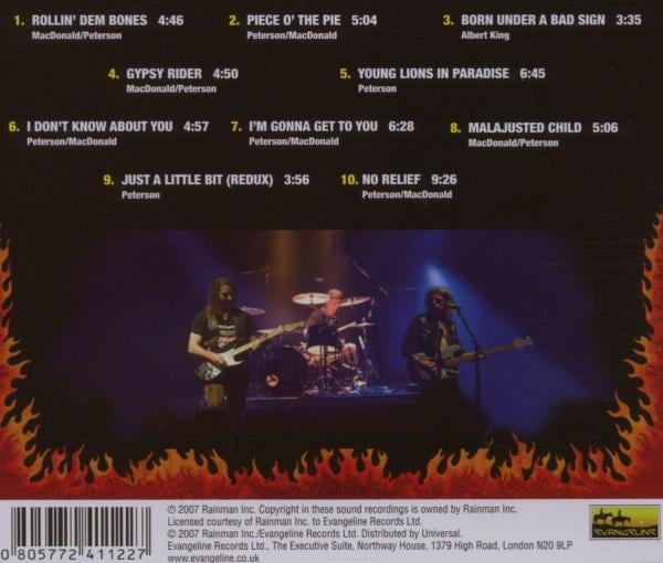 Blue Cheer: What doesn't kill you... 2007 (CD)