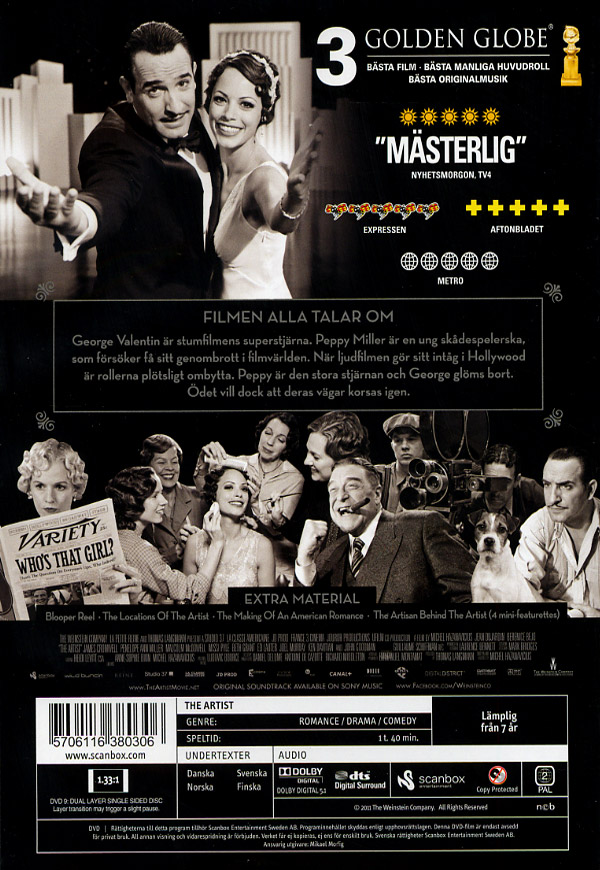 The Artist (DVD)