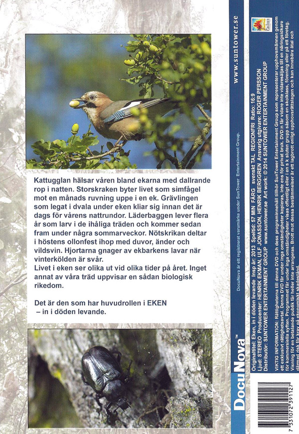 Tammi kuolemaan asti elävä (DVD)
