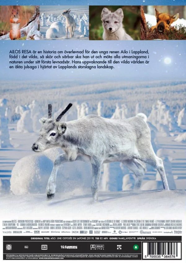 Ailon matka / Aïlo: Une odyssée en laponie (DVD)