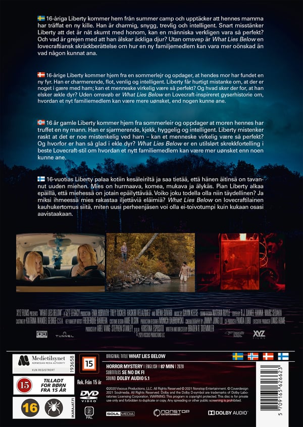 What Lies Below (DVD)