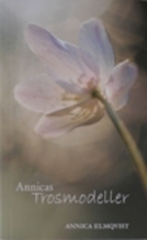 Annican alushousumallit (kirja / pokkari)