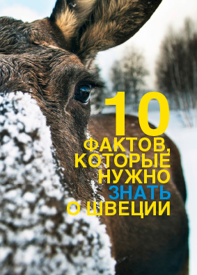 10 Things To Know About Sweden - Ryska 5 Pack (Bok / Häftad)