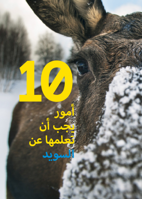 10 asiaa Ruotsista – arabia 5 kpl (kirja / nidottu)