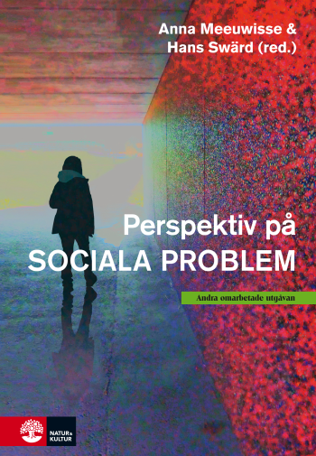 Perspektiv På Sociala Problem (Bok / Kartonnage) Perspektiv På Sociala Problem (Bok / Kartonnage)