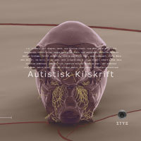 Autistisk Kilskrift (Kirja / Nidottu)