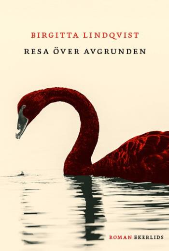Matka kuilun yli (Kirja / Kovakantinen)