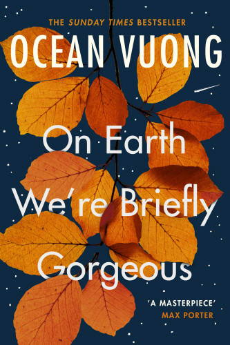 On Earth We're Briefly Gorgeous (Kirja / Pokkari)