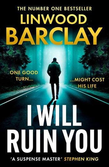 I Will Ruin You (Bok / Pocket)