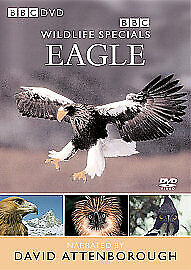 Wildlife Special: Eagle - The Master Of The Skies DVD (2004) David Attenborough Pre-Owned Region 2