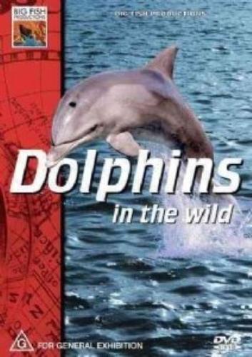 Dolphins In The Wild [2008] [Regio DVD Pre-Owned Region 2