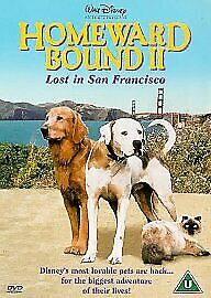Homeward Bound 2 - Lost In San Francisco DVD (2001) Robert Hays, Ellis (DIR) Pre-Owned Region 2