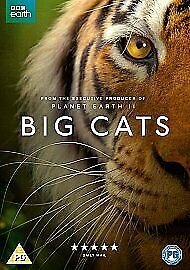 Big Cats DVD (2018) Bertie Carvel Cert PG Pre-Owned Region 2