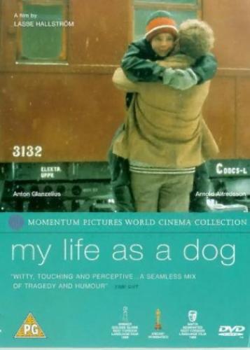 My Life As A Dog DVD (2001) Anton Glanzelius, Hallstr m (DIR) Cert PG Pre-Owned Region 2