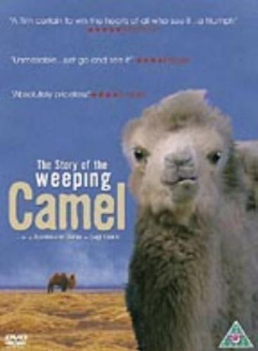 The Story Of The Weeping Camel DVD (2004) Janchiv Ayurzana, Davaa (DIR) Cert U Pre-Owned Region 2