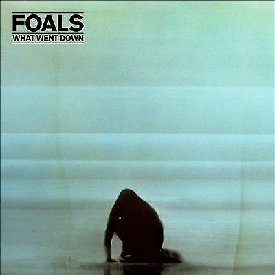 Foals : What Went Down CD Deluxe Album With DVD 2 Discs (2015) Pre-Owned Region 2