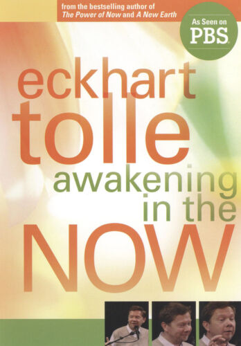 Awakening In The Now DVD (2009) Cert E Pre-Owned Region 2