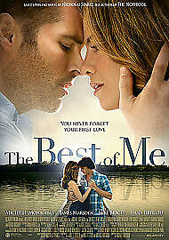 The Best Of Me DVD (2015) Michelle Monaghan, Hoffman (DIR) Cert 12 Pre-Owned Region 2