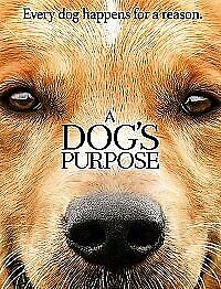 A Dog's Purpose DVD (2017) Britt Robertson, Hallstrom (DIR) Cert PG Pre-Owned Region 2