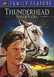 Thunderhead - Son Of Flicka DVD (2012) Roddy McDowall, King (DIR) Cert U Pre-Owned Region 2