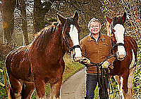 Martin Clunes: Heavy Horsepower (DVD, 2013)