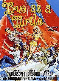 True As a Turtle DVD (2016) – John Gregson True As a Turtle DVD (2016) – John Gregson
